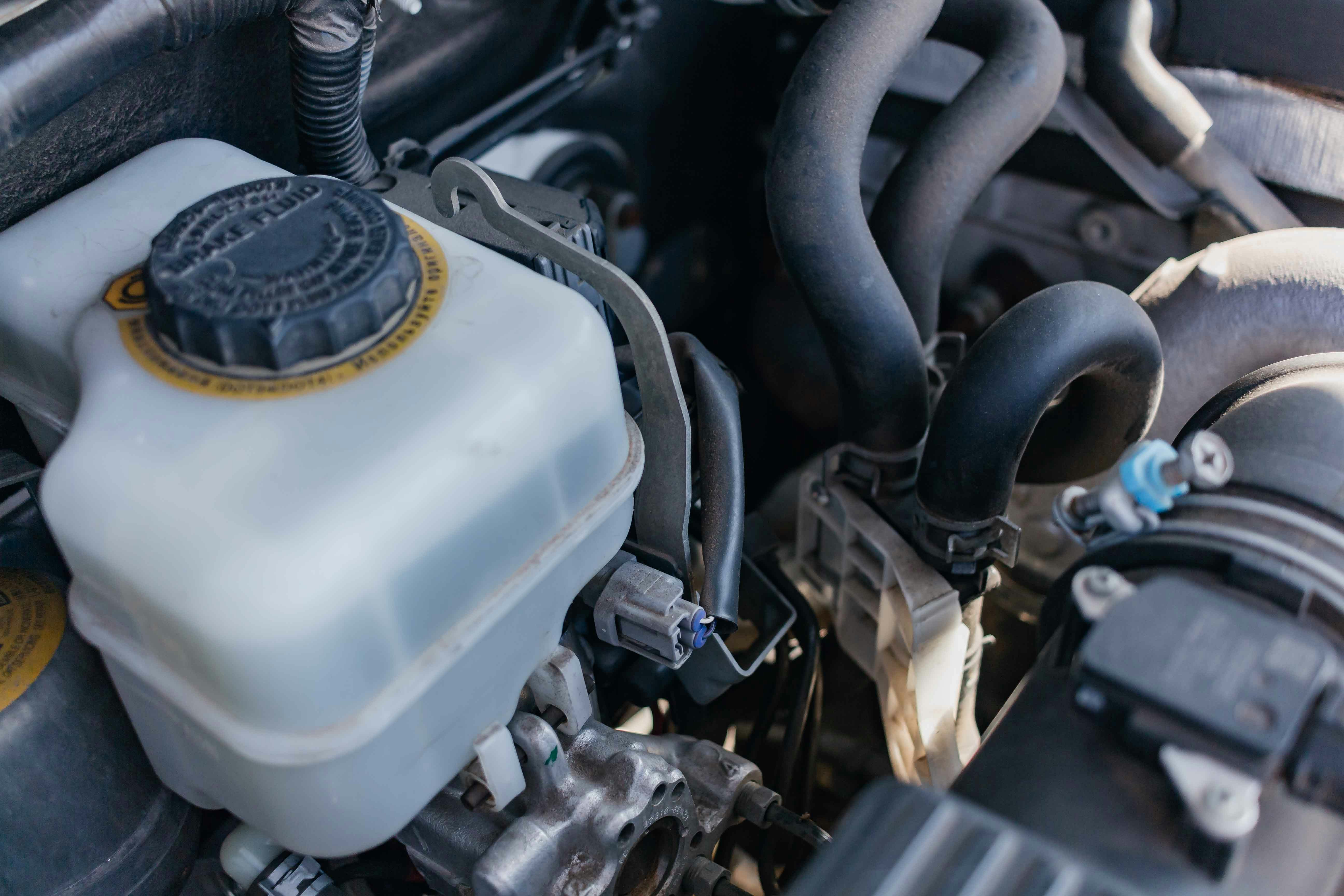 Synsforberedelse og omsyn i Albertslund